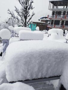 Fotografie z fotogalerie ubytování Olive Garden Classic v destinaci Tosh + 23 fotografií