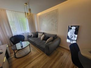 sala de estar con sofá y mesa en Apartament Gold Centrum en Zabrze