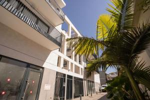 a palm tree in front of a building at HaKerem new luxury 3 rooms apartments and 2 rooms penthaus in Tel Aviv