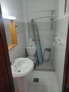 a small bathroom with a sink and a toilet at Roses Studios in Karpathos