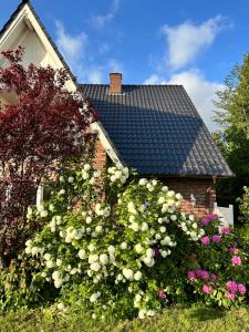 una casa con un ramo de flores delante de ella en lóuf en Wiesmoor