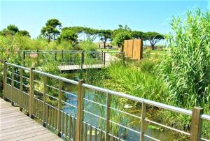 Природа в окрестностях апартаментов/квартиры