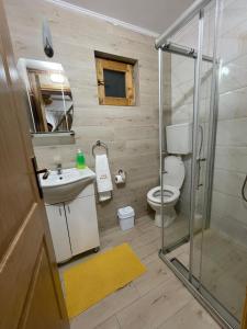 a bathroom with a shower and a toilet and a sink at Vila Perisic in Kaludjerske Bare