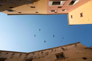 Fotografie z fotogalerie ubytování B&B Palazzo Vittoria v destinaci Bisceglie