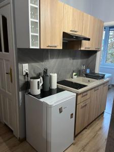 Dapur atau dapur kecil di Abrahama 70 Apartament 2 pokojowy dla 4 osób w centrum Gdyni