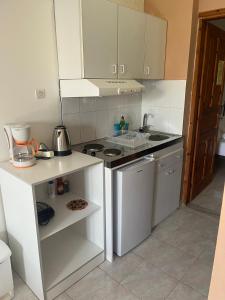 Een keuken of kitchenette bij Panorama Thea