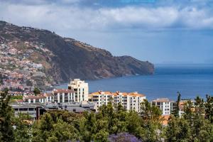Blick auf eine Stadt mit Berg- und Meerblick in der Unterkunft Barreiros III by An Island Apart in Funchal
