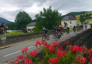 a group of people riding bikes down a road at Auberge Audressein in Audressein