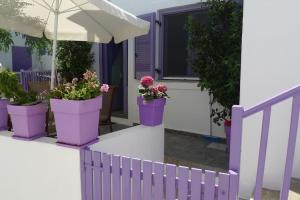 a row of purple potted plants on a porch at Vourkari Studio with full kitchen in Ioulis