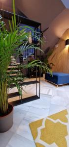 Fotografia z galérie ubytovania Boutique Suites v destinácii Arcos de la Frontera