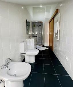 baño con 2 aseos y lavamanos en Casa do Riacho - Douro, en Armamar