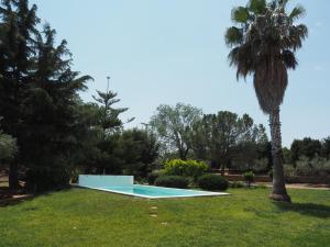 een zwembad in een tuin met een palmboom bij Le Mirage in Cambrils