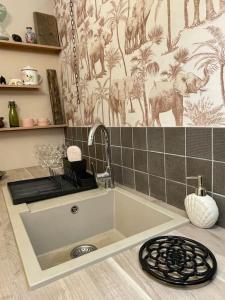 um lavatório numa cozinha com uma torneira e uma parede em Relax & Jacuzzi proche cité de Carcassonne em Pennautier
