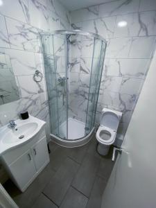 a bathroom with a shower and a toilet and a sink at Stylish 1 Bedroom Flat in wood Green in London