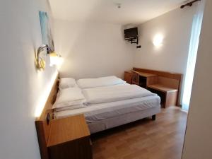 a small bedroom with a bed and a desk at Hotel Denny in Pinzolo