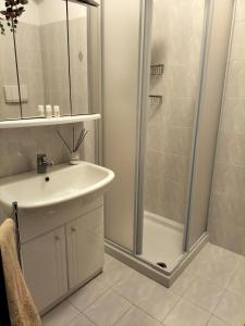uma casa de banho com um lavatório e um chuveiro em La casina delle viole em Abbadia San Salvatore