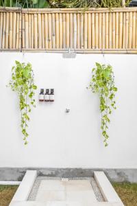 Galeriebild der Unterkunft Beautiful new villa in Umalas in Canggu
