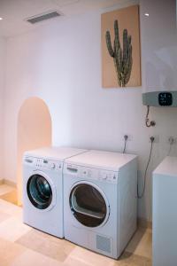 a washing machine in a room with a cactus at Il TrullOzio in Castellana Grotte