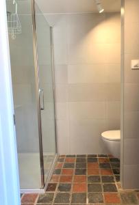 ein Bad mit einer Dusche und einem WC in der Unterkunft De Scheure, charmant vakantiehuisje midden in de natuur in Alveringem