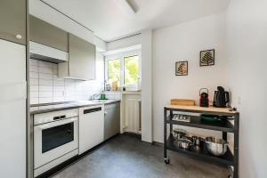 kuchnia z białymi urządzeniami i oknem w obiekcie Cooldis 12 !Gratis Parken, Free Parking! w mieście Kreuzlingen