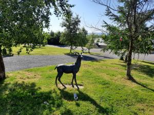 Gallery image of 3 Bed-Sleeps 6-Pets-River View-Hot Tub in Belturbet