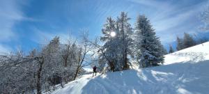 Chalúpka Jánošikove diery during the winter