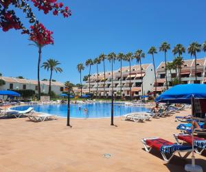 a swimming pool with chairs and palm trees and a resort at ZioCarlo/Las Americas in Playa de las Americas