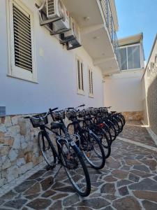 Jízda na kole v ubytování Albatros B&B Porto Cesareo nebo okolí