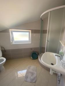une salle de bain avec un lavabo, une douche et des toilettes dans l'établissement Studio apartmani Alex, à Novalja 9 autres photos