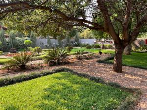 a garden with a tree and grass and plants at Moments Guest House in Klerksdorp