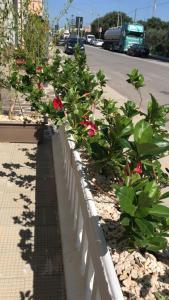una valla blanca con flores rojas al lado de una calle en La Porta Del Sole, en Nova Siri Marina