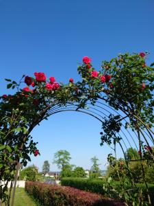a floral arch with red roses in a garden at Maison Champperbou in Haut-Vully