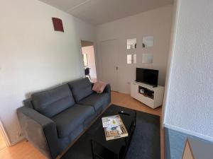 een woonkamer met een bank en een tv bij Nid douillet proche des Thermes in Bourbonne-les-Bains