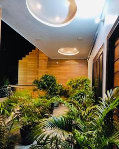 um quarto com um monte de plantas e um tecto em Hotel Silk Inn Luxury At No Cost em Lucknow