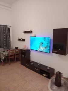 TV a/nebo společenská místnost v ubytování Tzoumerka Panorama
