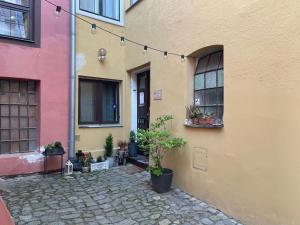 a group of buildings with potted plants in front of them at Apartmany u Synagogy in Třebíč