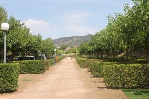 un camino a través de un parque con arbustos y árboles en Montsant Park Camping & Bungalow, en Ulldemolins