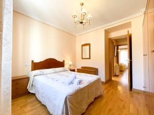 貝爾蘭加德杜埃羅的住宿－Apartamento Los Leones，卧室配有一张带吊灯的大型白色床。
