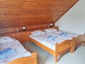 two beds in a room with wooden walls at Apartma Gea, Terme Olimia in Podčetrtek