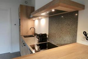 a kitchen with a sink and a counter top at Gerrit's Guesthouse Grou in Grou