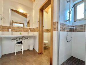 a bathroom with a shower and a sink and a toilet at Schmitten Finest Apartments by All in One Apartments in Zell am See +67 photos