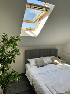 sypialnia z łóżkiem i świetlikiem w obiekcie KAPTOL Rooms w Zagrzebiu