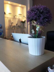 Foto da galeria de Calm View em Vasiliki