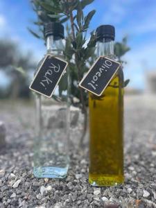 Φωτογραφία από το άλμπουμ του Kalithea Studio 1 στο Παλαίκαστρο