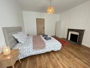 ein Schlafzimmer mit einem Bett in einem Zimmer mit einem Kamin in der Unterkunft Jaurès 1 -T2- 4p - Tramway - Gare - Centre ville in Le Mans