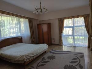 una camera con un letto e due finestre e un tappeto di Вилла в пансионате Витязь (с. Чок-Тал) a Chok-Tal