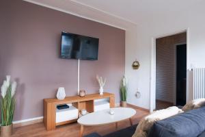 a living room with a couch and a tv on a wall at Cham's House - T2 Chamalières in Chamalières