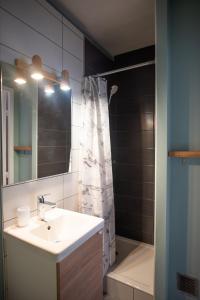 La salle de bains est pourvue d'un lavabo et d'une douche. dans l'établissement Cham's House - T2 Chamalières, à Chamalières