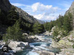 un fiume in mezzo a una montagna con alberi di Résidence Arborea C3 Corte a Corte