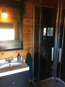 ein Bad mit einem Waschbecken und einer Dusche in der Unterkunft Log Cabin, forrest , sea view, north Sweden. in Luleå